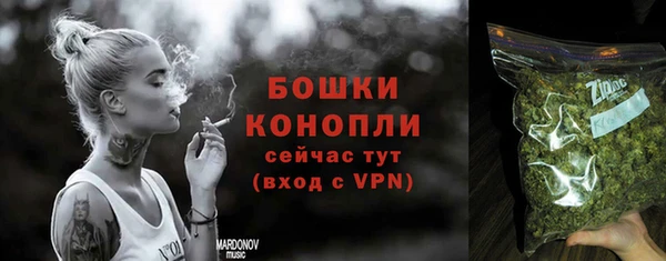 ПСИЛОЦИБИНОВЫЕ ГРИБЫ Михайловка