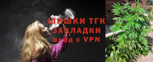 ПСИЛОЦИБИНОВЫЕ ГРИБЫ Михайловка