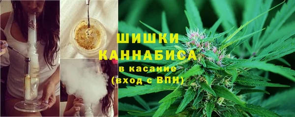 ПСИЛОЦИБИНОВЫЕ ГРИБЫ Михайловка