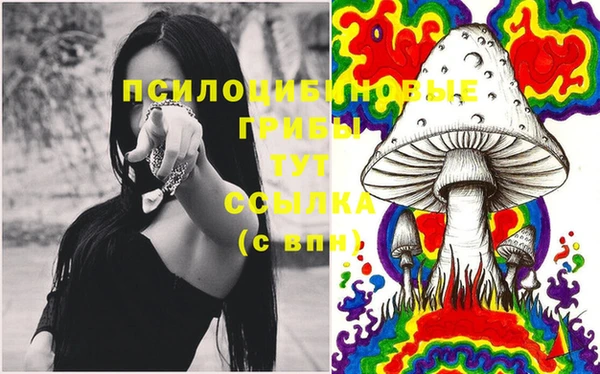 Альфа ПВП Михайлов