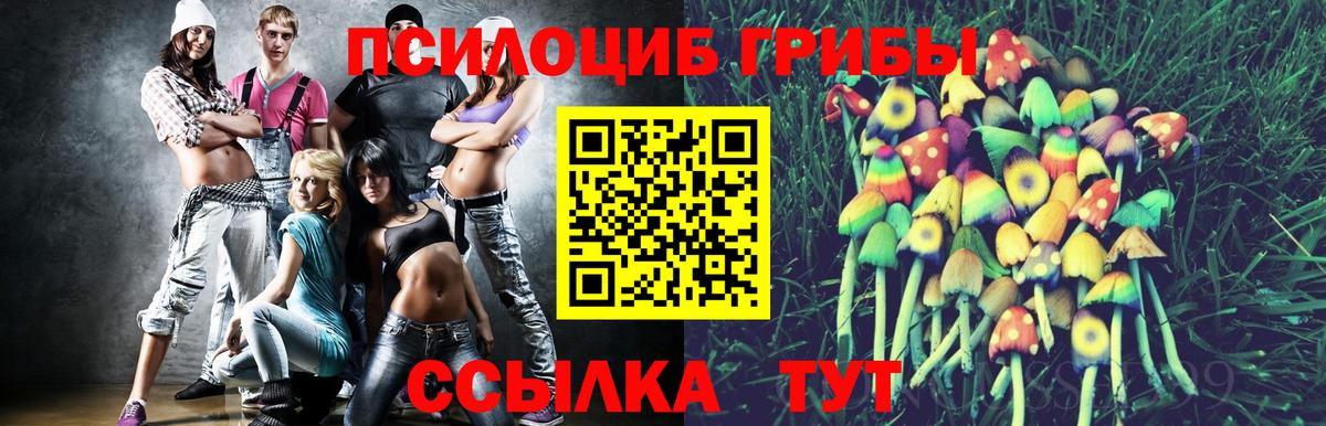 Галлюциногенные грибы ЛСД Приморско-Ахтарск